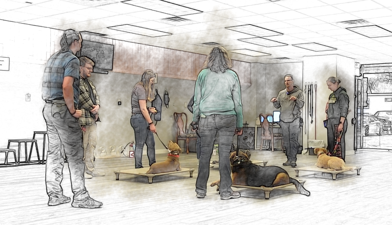 Our Reactive aggression class is designed to allow people to practice correction techniques for their reactive dog, while in a group of other dogs in the same situation.  Located in Olathe Kansas.